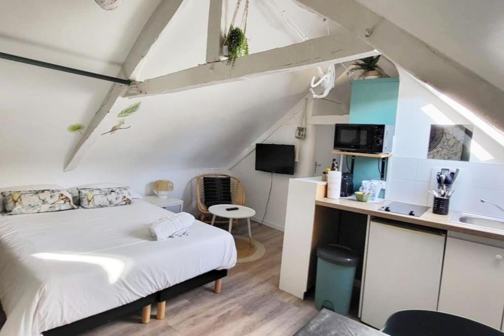 La Cabane - Petit Studio Mansarde - Plage 50M - Rue Gratuite サン・マロ エクステリア 写真