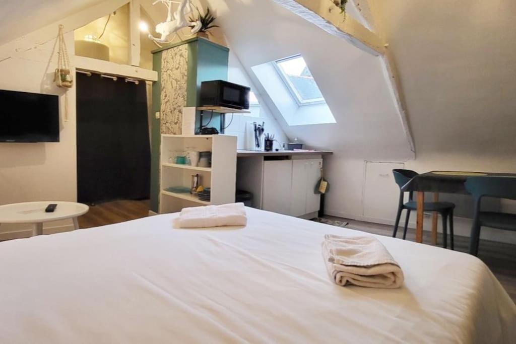 La Cabane - Petit Studio Mansarde - Plage 50M - Rue Gratuite サン・マロ エクステリア 写真